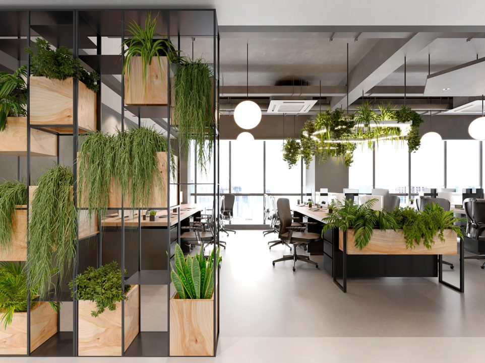 Bürolandschaft mit vielen Grünpflanzen, sowohl in Regalen als auch in einer großen Deckenkonstruktion.