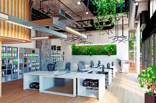 Modernes, helles Büro mit Pflanzen